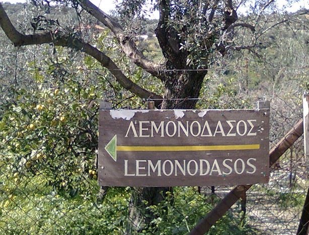 lemonodasos