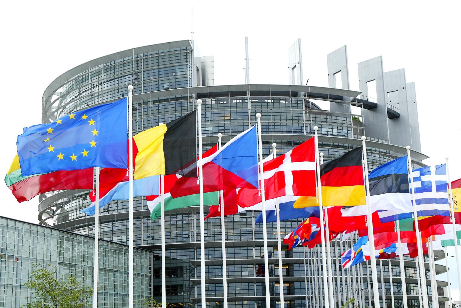european parliament flags