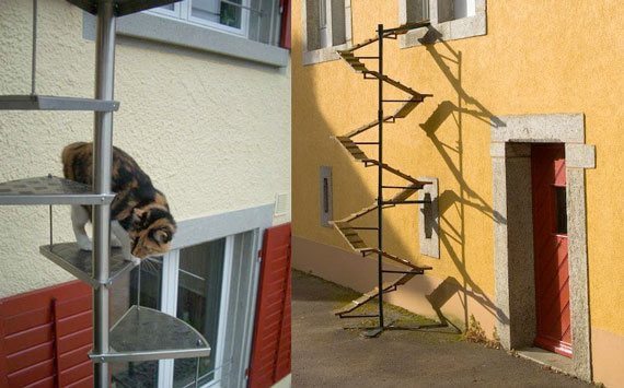 swiss cat ladders 2