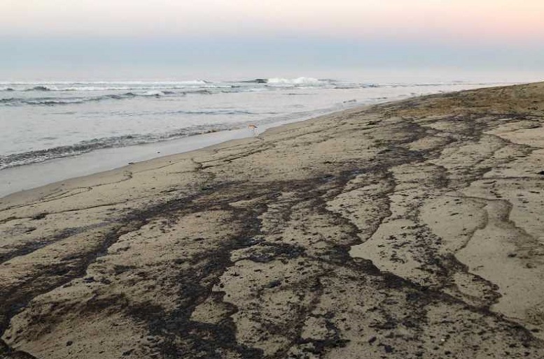 california oil spill